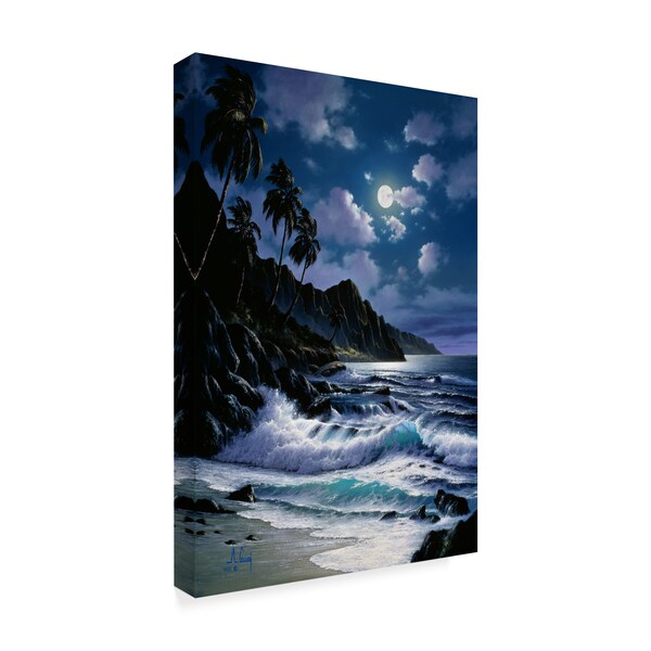 Anthony Casay 'Water Under The Moon 13' Canvas Art,30x47